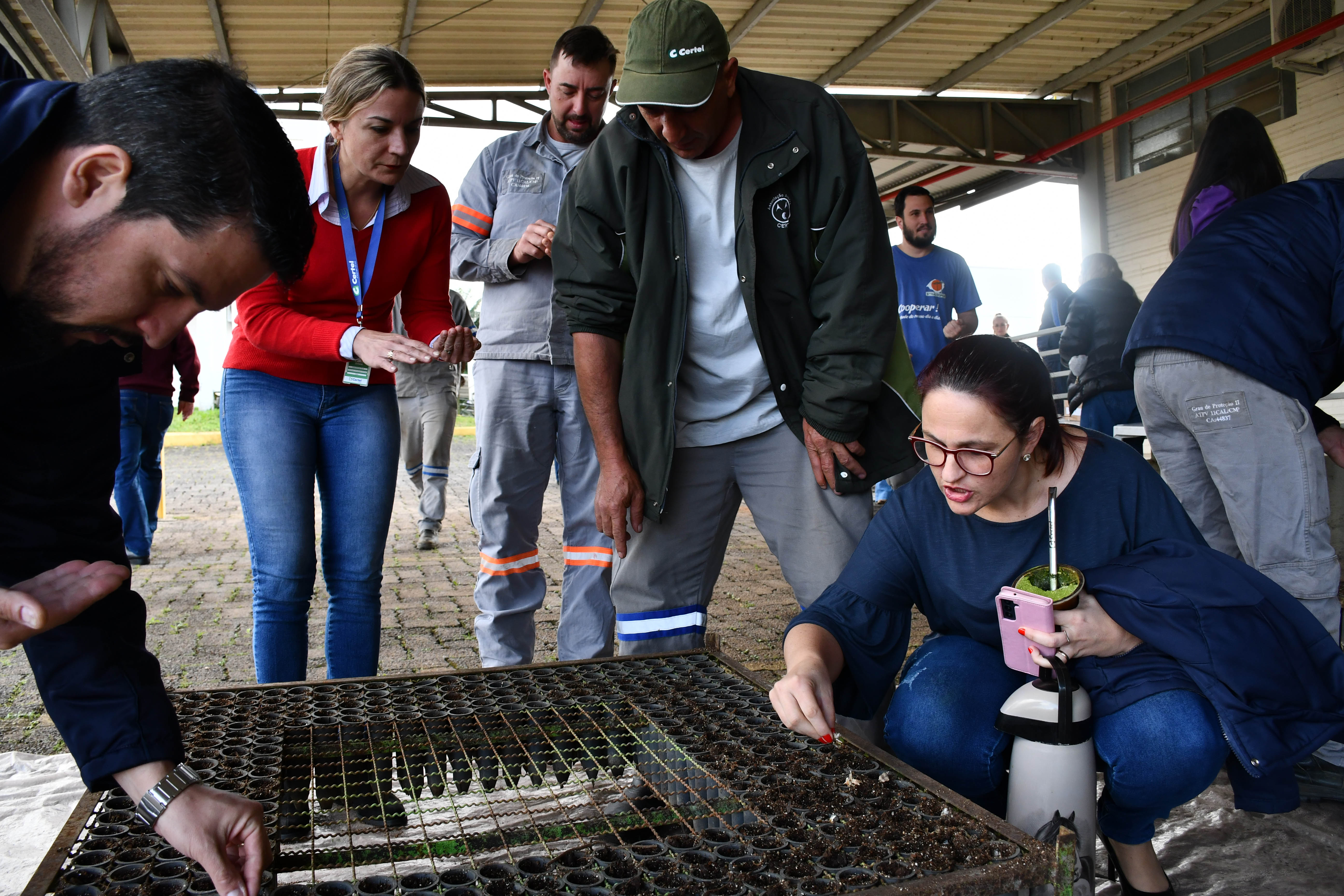 Cooperativa comemora o Dia da Árvore com criação da Floresta Certel 