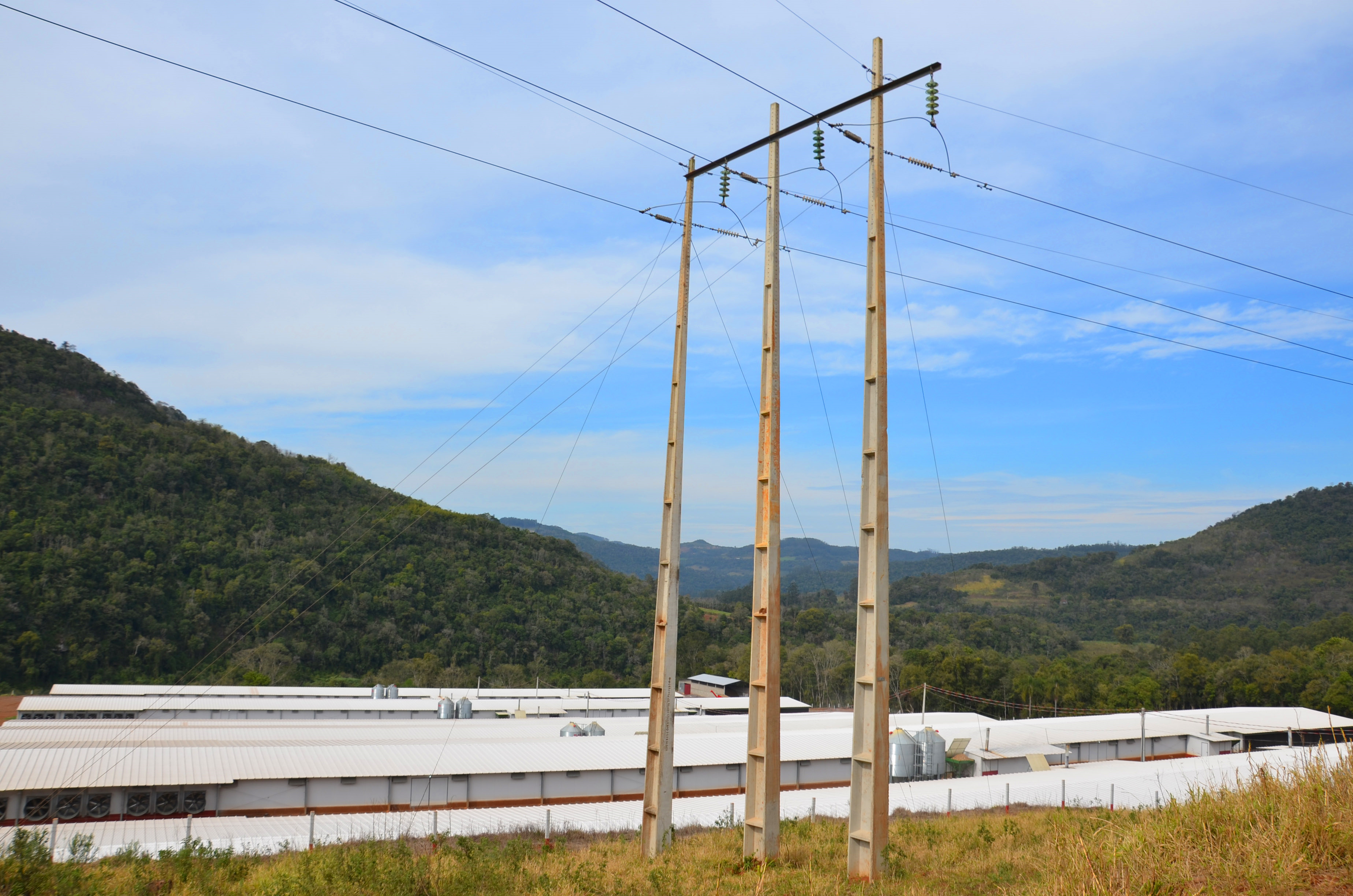 Na área, estão distribuídos 600 metros de redes  elétricas da Certel