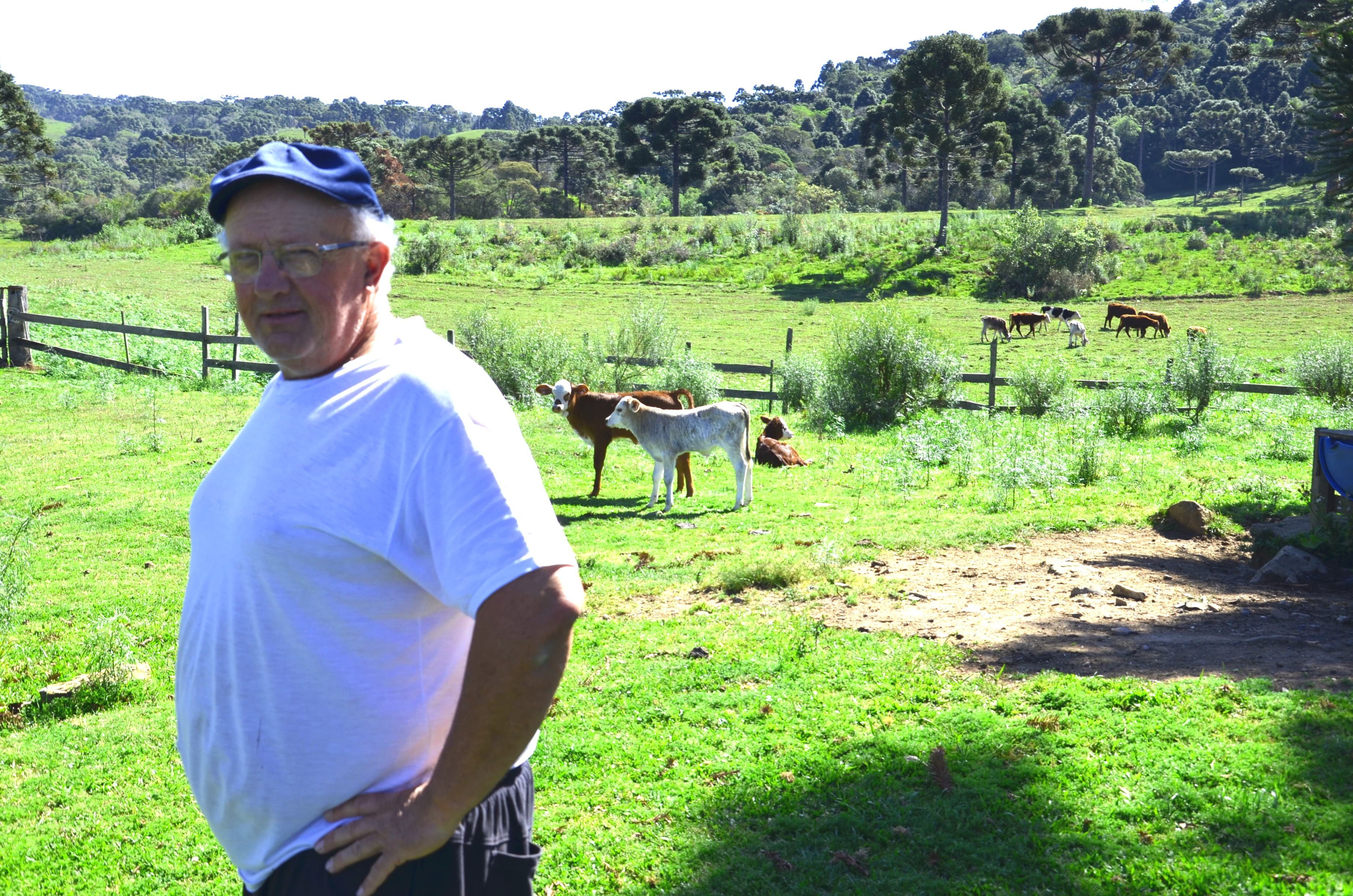 Energia trifásica impulsiona produção de fazenda em São Francisco de Paula