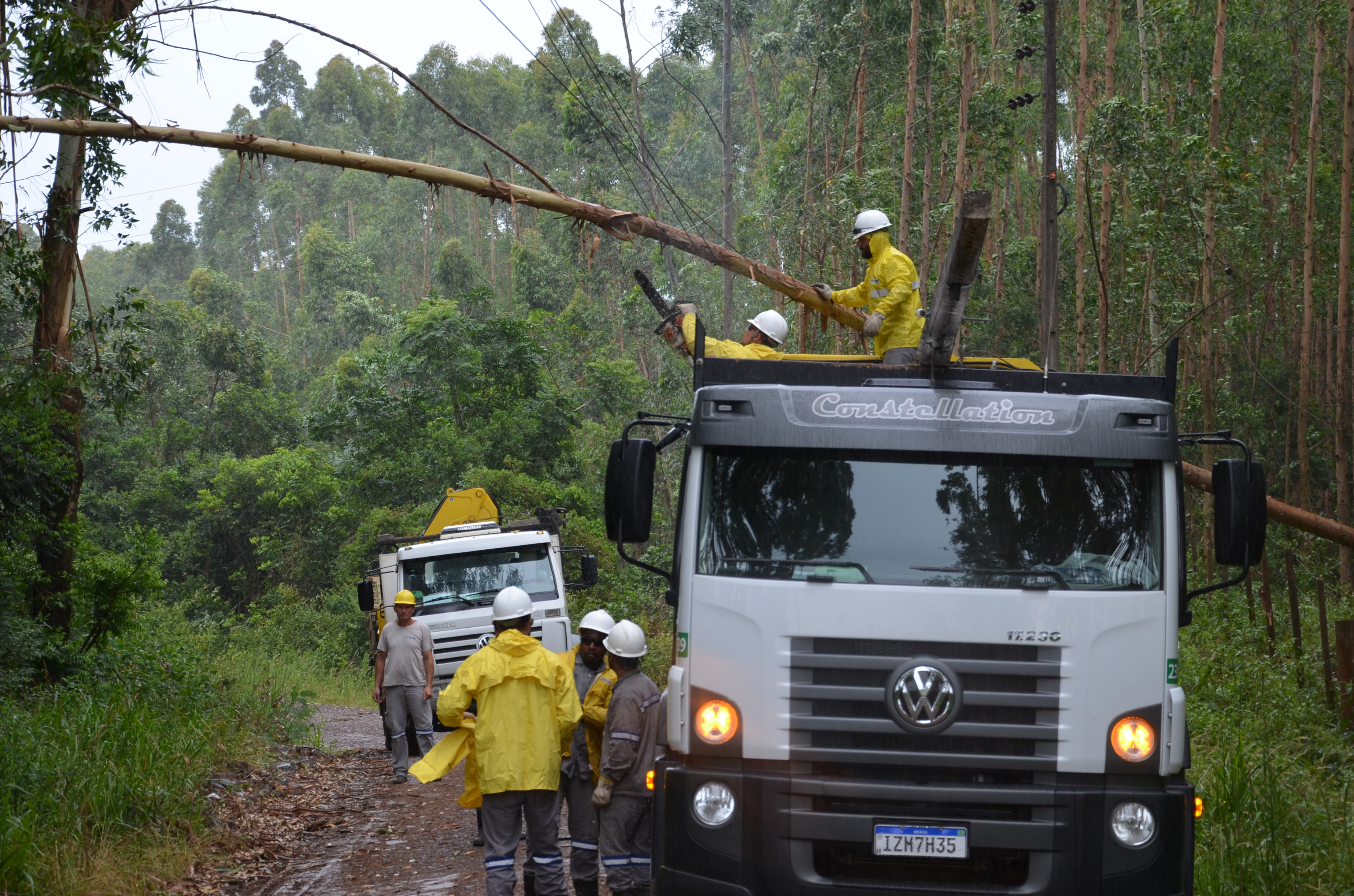 Ventania derrubou árvores, como em Santa Rita, Salvador do Sul